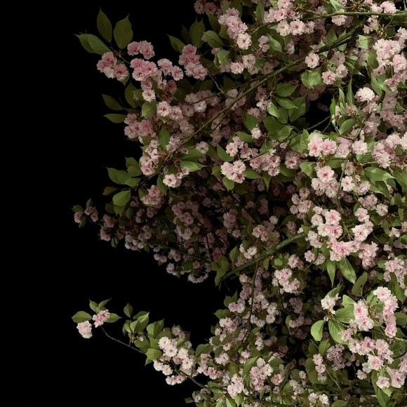 Meet your Posher, Posh - Picture 1 of 1